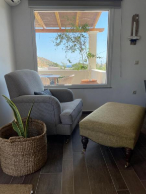 Olive family villa